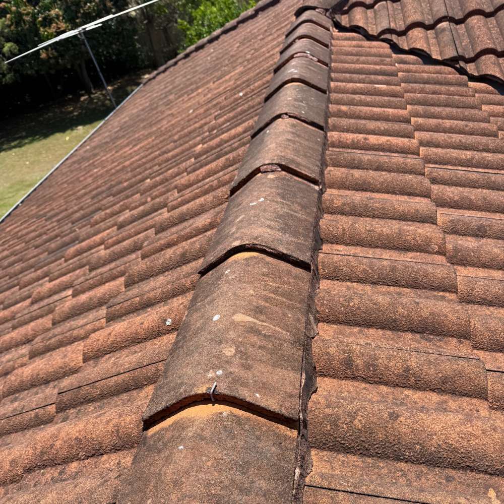 Complete Ridge Re-Pointing – Brisbane 4