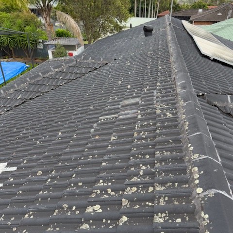 Roof Restoration Gold Coast 1